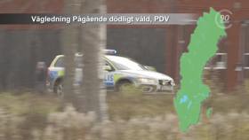 Vejledning Aktuel livstruende voldshandling, PDV.