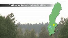 Frivilligorganisationer och andra aktörer