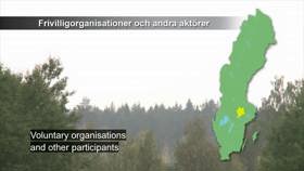 Voluntary organisations and other participants