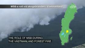 The role of MSB during the forest fire