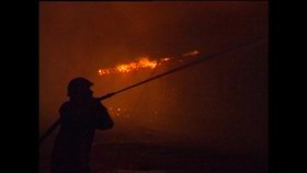 Moskébrand i Malmö, hantering av mångkulturell problematik