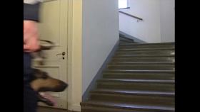 Brand- och gashund i Stockholm