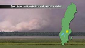 Stort informationsbehov vid skogsbranden