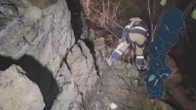 High-angle dog rescue