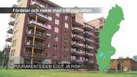 Puurakenteiden edut ja riskit