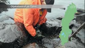 Oljekatastrof på Tjörn