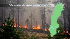 Erfaringer fra skogbrannsommeren 2018