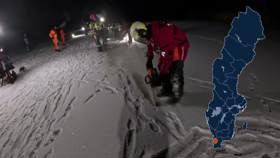 Horses through ice, Ljungbyhed