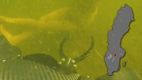 ROV med sonar vid drukningstilbud