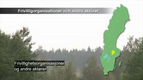 Frivillighetsorganisasjoner og andre aktører