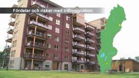 Fördelar och risker med träbyggnation 