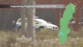 Guideline for an active shooter event, PDV