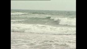 Oljesanering vid Gotska Sandön