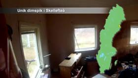 Unik tåkespiker i Skellefteå