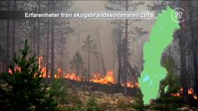 Koksemuksia kesän 2018 maastopaloista