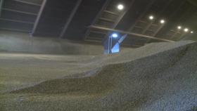 Dödliga risker med träprodukter