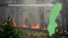 Erfarenheter från skogsbrandsommaren 2018